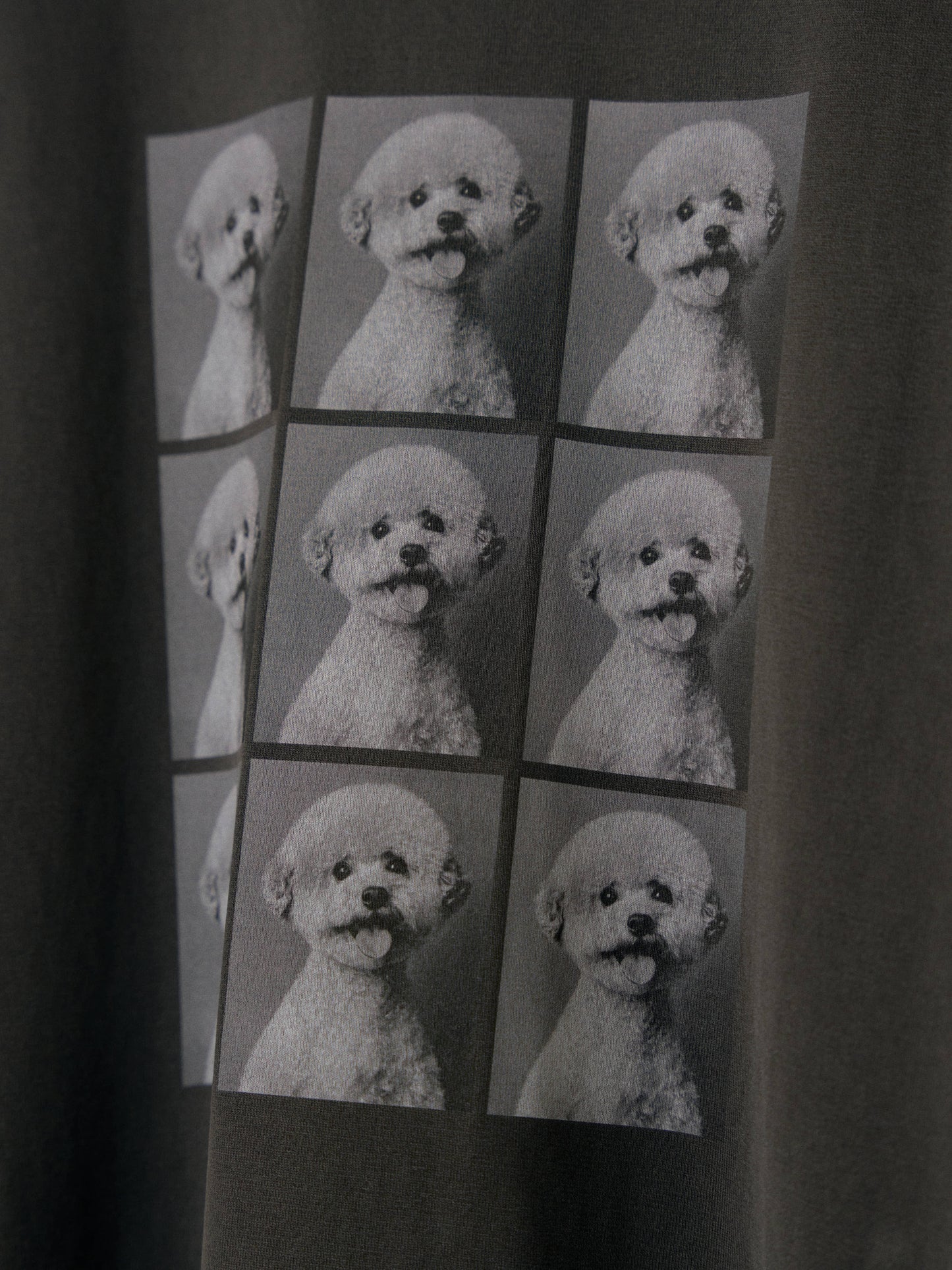 Pigment Animal Short Sleeve – Charcoal