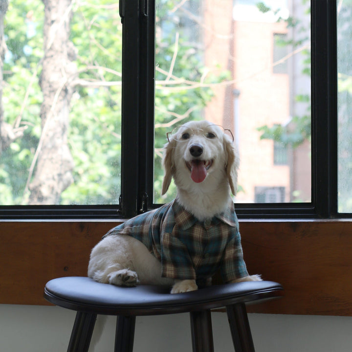 Jung-Manager's Acoustic Shirt -blue