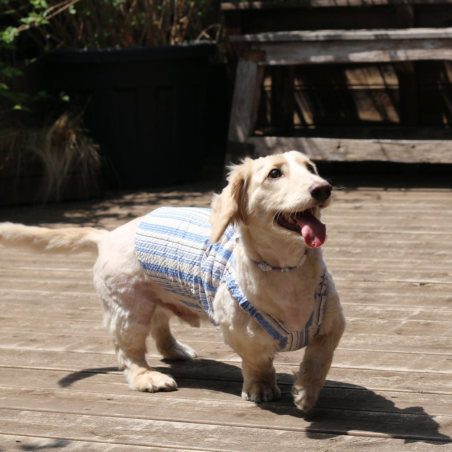 happy-hippie top -blue
