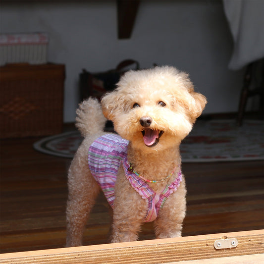 happy-hippie top -purple