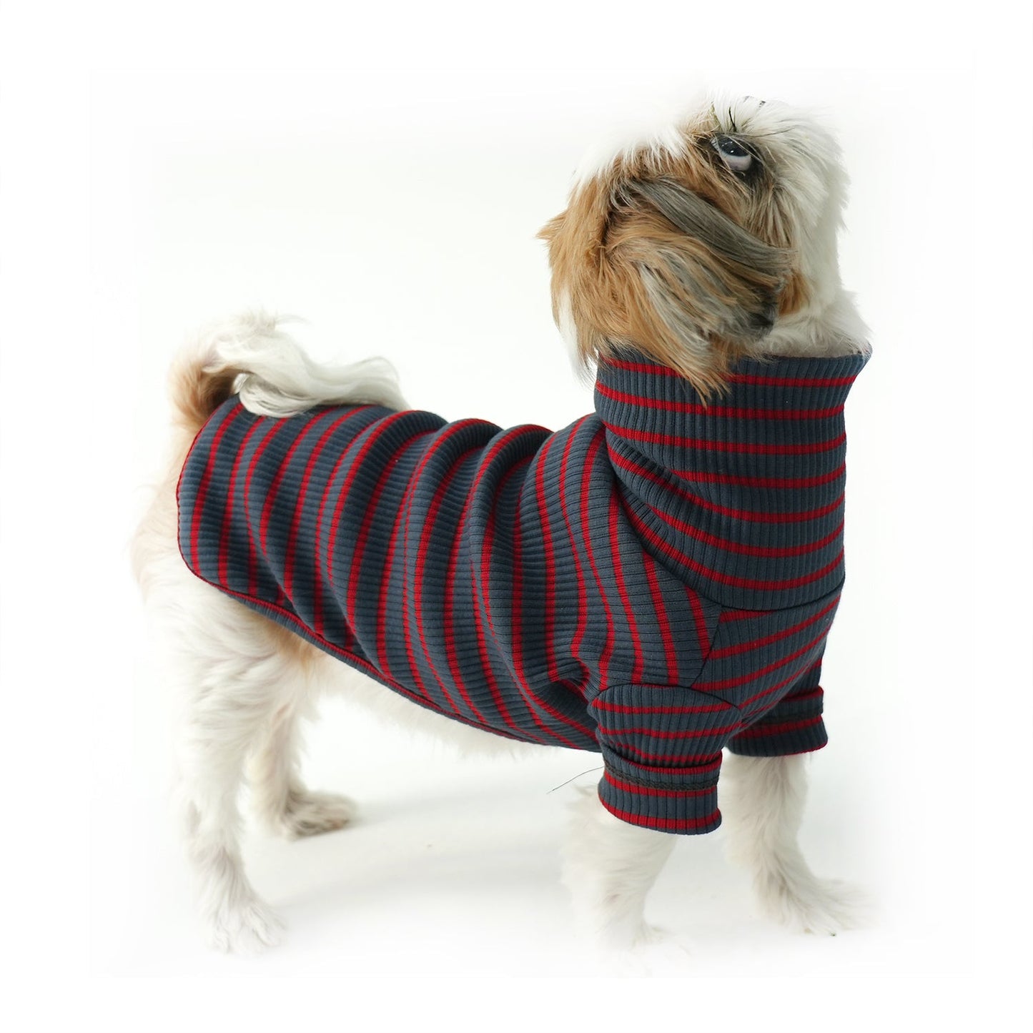 G.H Turtleneck -stripe