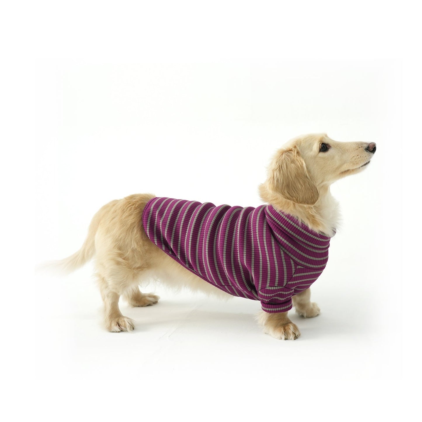 G.H Turtleneck -purple